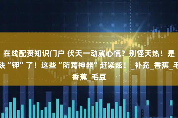 在线配资知识门户 伏天一动就心慌?别怪天热!是你缺“钾”了!这些“防蔫神器”赶紧炫!_补充_香蕉_毛豆
