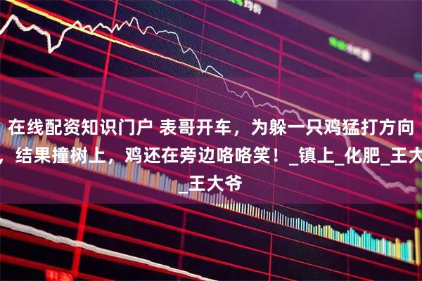在线配资知识门户 表哥开车，为躲一只鸡猛打方向盘，结果撞树上，鸡还在旁边咯咯笑！_镇上_化肥_王大爷
