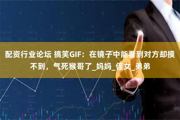 配资行业论坛 搞笑GIF：在镜子中能看到对方却摸不到，气死猴哥了_妈妈_侄女_弟弟