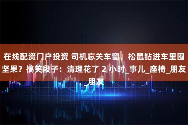 在线配资门户投资 司机忘关车窗，松鼠钻进车里囤坚果？搞笑段子：清理花了 2 小时_事儿_座椅_朋友